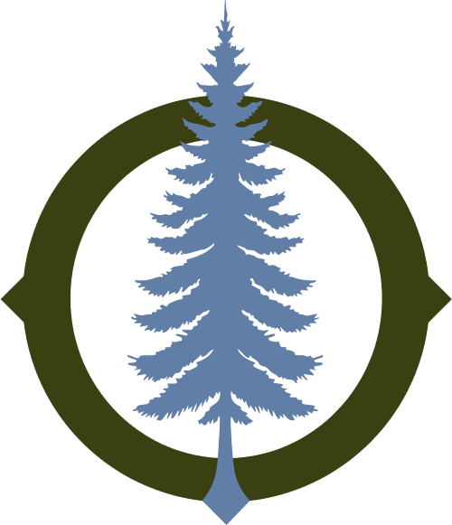 north branch strategies logomark